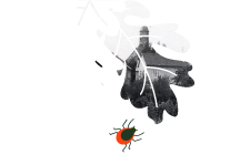 Logo 750 Jahre Vollnkirchen